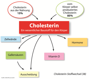 Cholesterin als wichtiger Baustoff